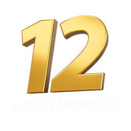 12 yıllık deneyim